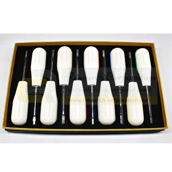 Dental White Root Elevator Oral PDL Luxating Elevators