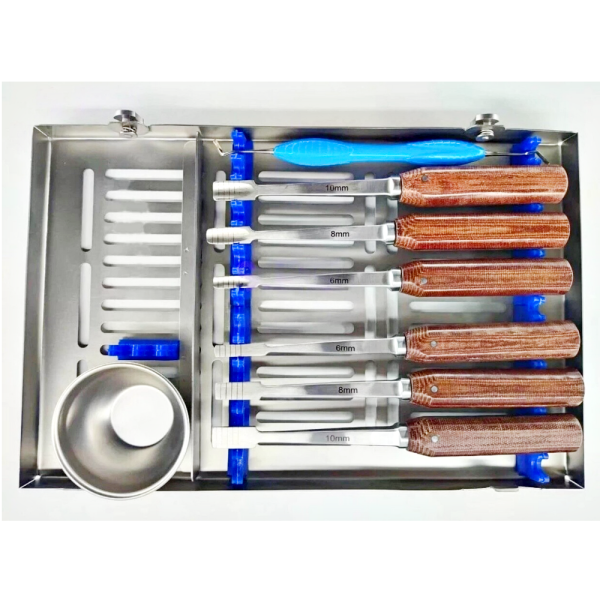 Immediate Dentoalveolar Restoration (Idr) Kit With Plugger